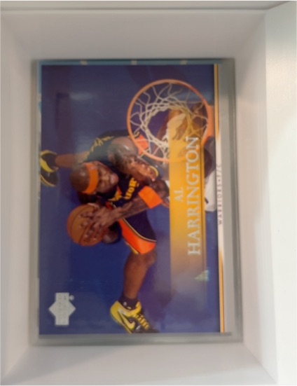2007-08 Upper Deck First Edition #31 Al Harrington — front
