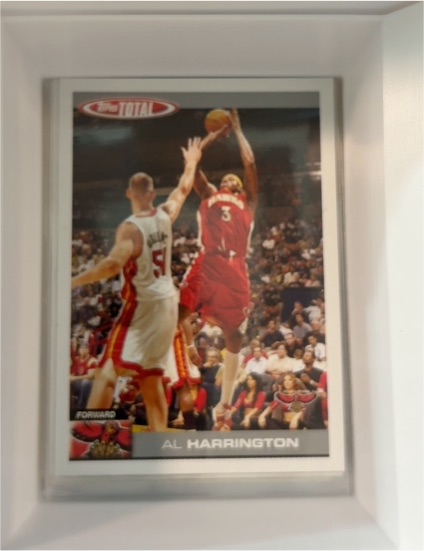 2004-05 Topps Total #53 Al Harrington — front