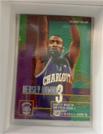 1995-96 Fleer #17 Hersey Hawkins — front