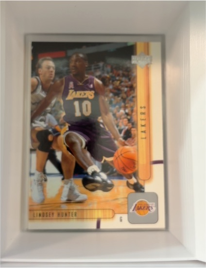 2001-02 Upper Deck #299 Lindsey Hunter — front