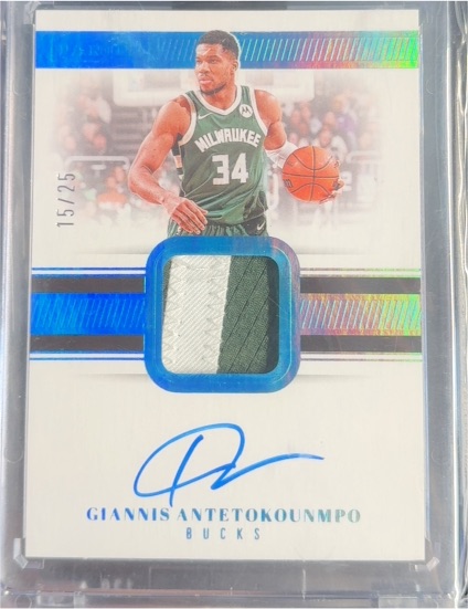 2019-20 Panini National Treasures Giannis Antetokounmpo Patch Auto #15/25 — front