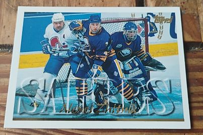 1995-96 Topps #49 Alexei Zhitnik — front
