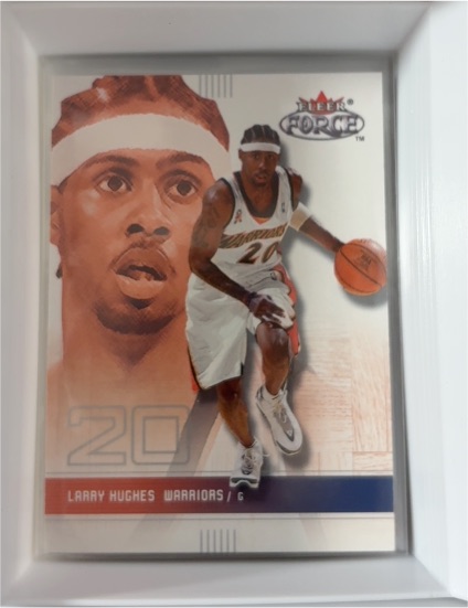 2001-02 Fleer Force #29 Larry Hughes — front