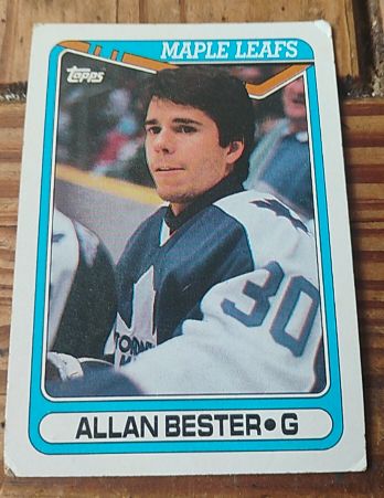 1990-91 Topps #32 Allan Bester — front