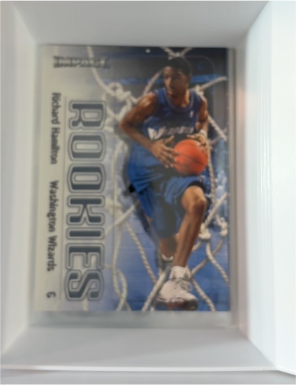 1999-00 Skybox Impact #56 Richard Hamilton Rookie — front