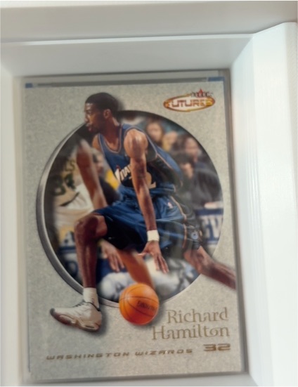 2000-01 Fleer Futures #84 Richard Hamilton — front