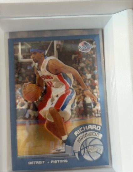 2002-03 Topps Chrome #125 Richard Hamilton — front