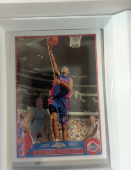 2003-04 Topps Chrome #46 Richard Hamilton — front