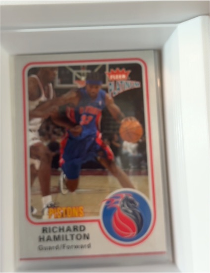 2005-06 Topps #120 Richard Hamilton — front