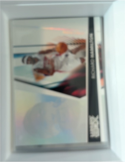 2005-06 Topps Luxury Box #24 Richard Hamilton — front