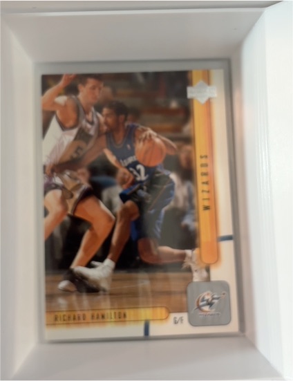 2001-02 Upper Deck #174 Richard Hamilton — front