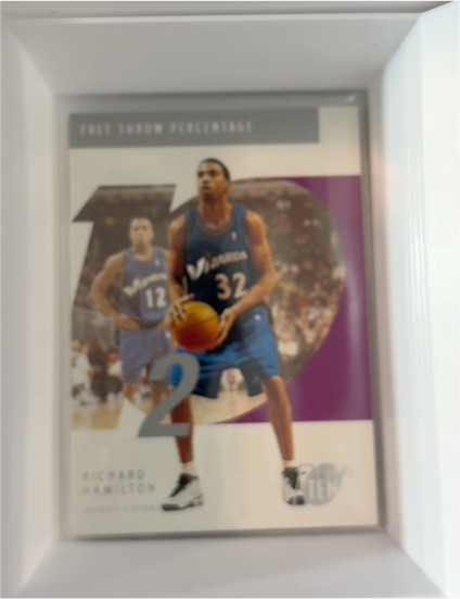 2002-03 Topps Ten #82 Richard Hamilton — front