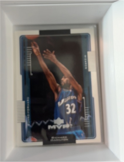 2001-02 Upper Deck MVP #183 Richard Hamilton — front