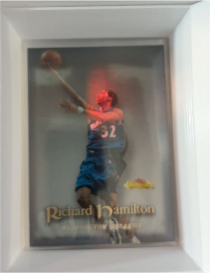 2000-01 Fleer Showcase #43 Richard Hamilton — front