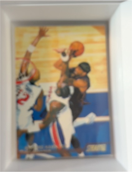 1999 Fleer Vince Carter 8x10 NBA Oil Painting — front