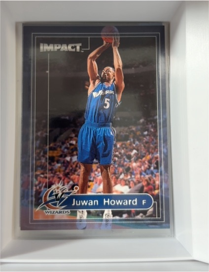 1999-00 SkyBox Impact #132 Juwan Howard — front