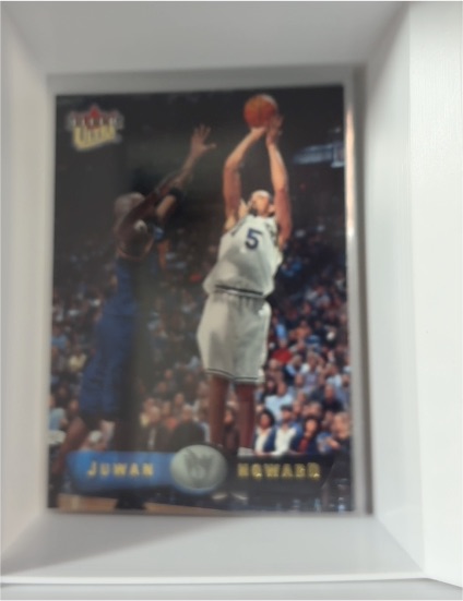 1995-96 Upper Deck #207 Juwan Howard — front