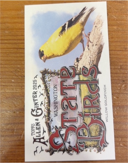 2025 Topps Allen & Ginter Mini State Birds Willow Goldfinch Washington #SB-47 — front