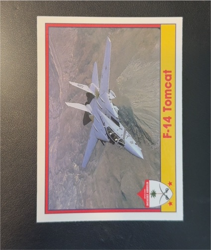1991 Pacific Operation Desert Shield #83 F-14 Tomcat — front