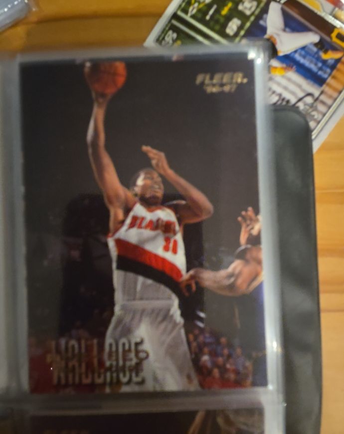 1996-97 Fleer #242 Rasheed Wallace — front