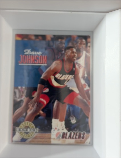 1992-93 SkyBox #392 Dave Johnson — front