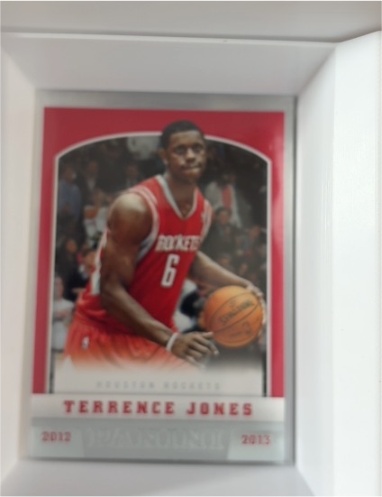 2012-13 Panini #259 Terrence Jones — front
