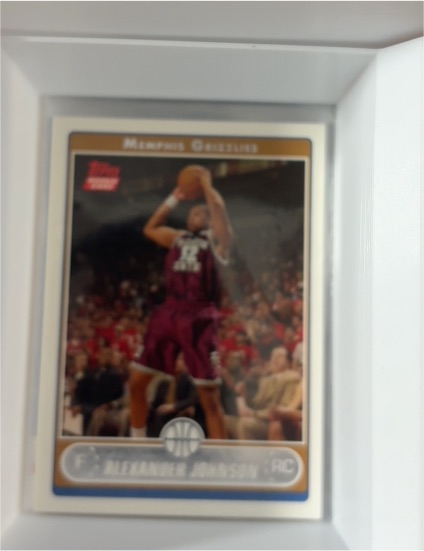 2006-07 Topps #219 Alexander Johnson — front