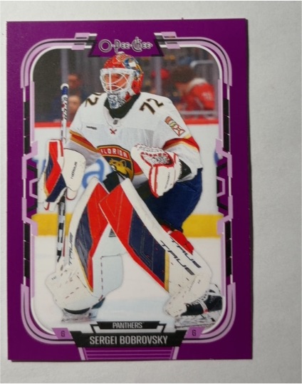 2025-26 O-Pee-Chee #267 Sergei Bobrovsky — front