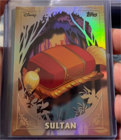 2025 Topps Disney Wonder #FF-11 Sultan — front