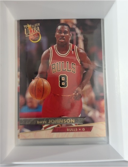1993-94 Fleer Ultra #219 Dave Johnson — front