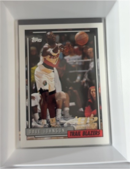 1992-93 Topps #382 Dave Johnson — front