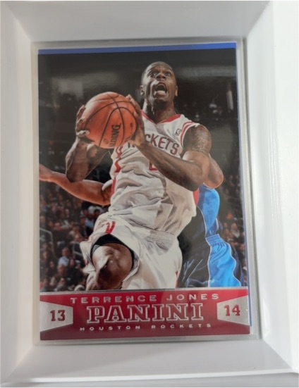 2013-14 Panini #67 Terrence Jones — front
