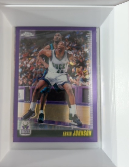 2000-01 Topps Chrome #99 Ervin Johnson — front