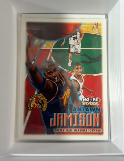 1999-00 Skybox NBA Hoops #15 Antawn Jamison — front