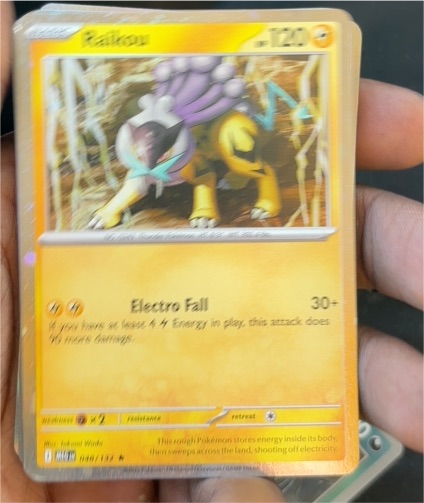 2014 Pokémon ME01: Mega Evolution #048 Raikou — front