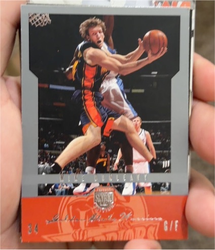2004-05 Skybox LE #33 Mike Dunleavy — front