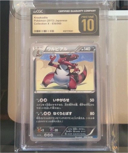 2013 Pokémon Collection X #036 Krookodile — front