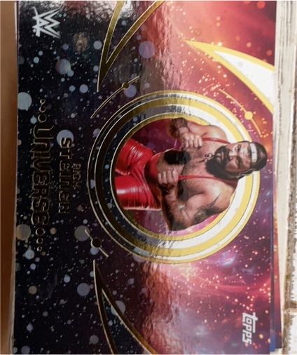 2025 Topps Universe WWE #159 Rick Steiner — front