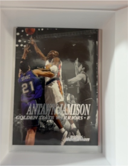 1999-00 Skybox Dominion #110 Antawn Jamison — front