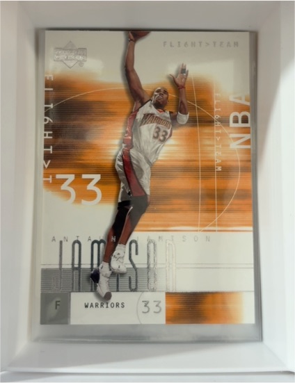 2001-02 Upper Deck Flight Team #33 Antawn Jamison — front