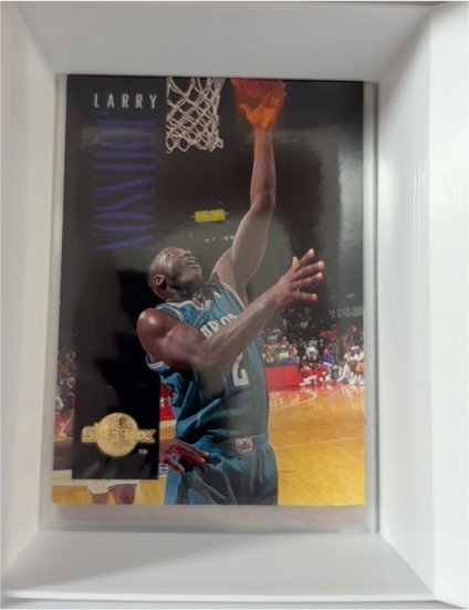 1994-95 SkyBox Premium #19 Larry Johnson — front