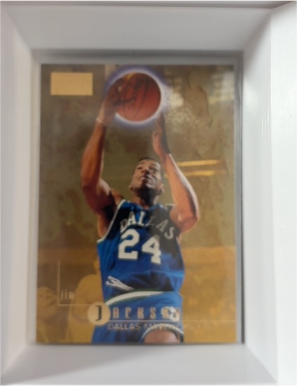 1996-97 Skybox Premium #25 Jim Jackson Dallas Mavericks — front