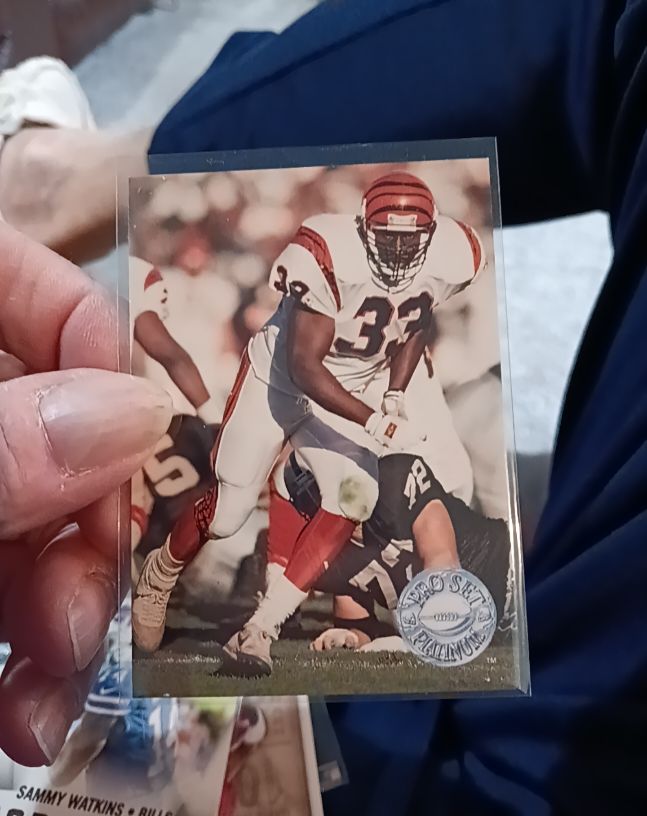 1991 Pro Set Platinum #255 Anthony Thompson — front