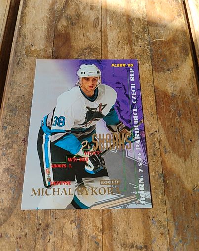 1994-95 Fleer #201 Michal Sykora — front