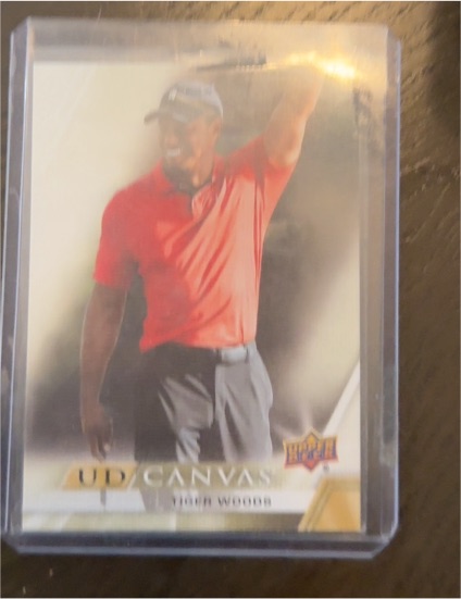 2024 Upper Deck UD Canvas #C-1 Tiger Woods — front