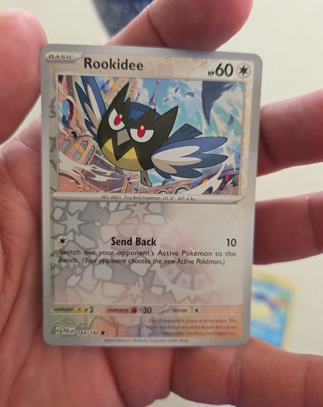 2023 Pokémon #164 Rookidee — front
