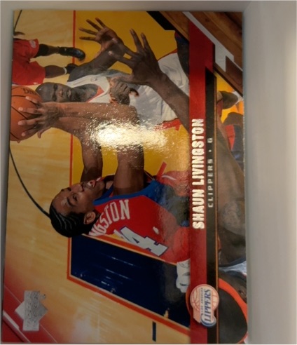 2005-06 Upper Deck #76 Shaun Livingston — front