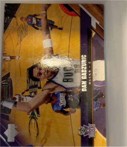 2005-06 Upper Deck #105 Dan Gadzuric — front