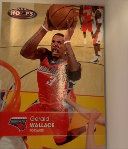2005-06 NBA Hoops #14 Gerald Wallace — front