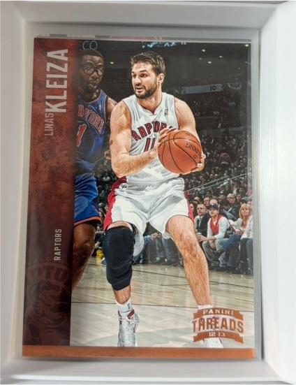 2012-13 Panini Threads #137 Linas Kleiza — front
